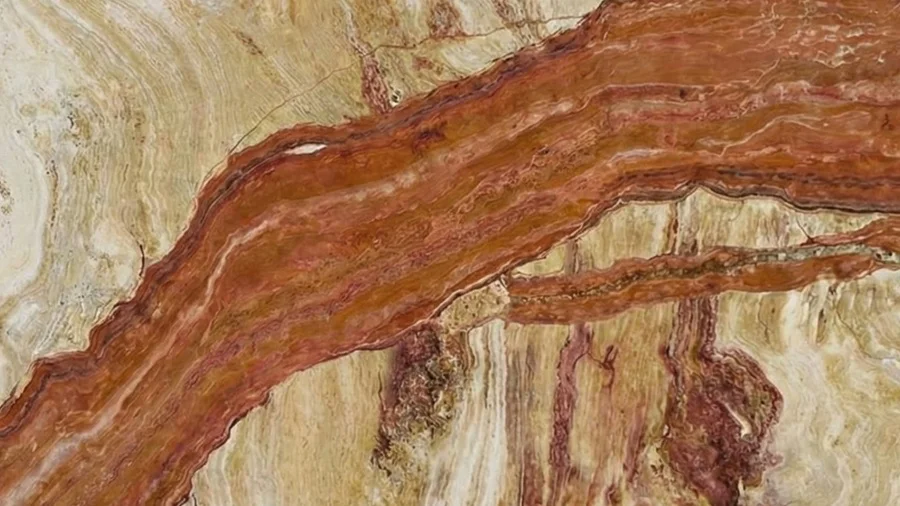 Tronco Ferrato travertine slabs, tiles and blocks